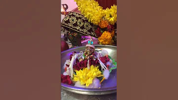 Tulsi Vivah Puja Vidhi Aarti Celebration Marriage Shaligram Ekadashi Mata Bhajan lagna Decoration