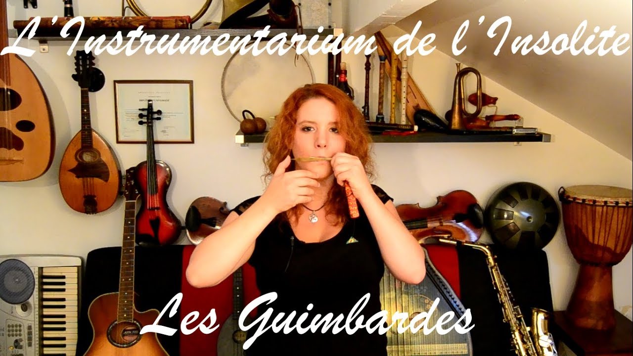 Oberton Pro Baynaush Guimbarde - meilleur Instrument de musique