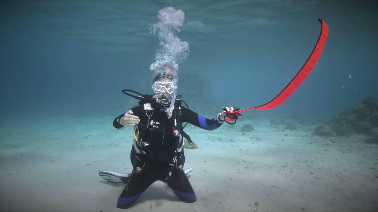 SSI Open Water Diver certification
