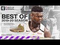 Zion Williamson BEST Pelicans Highlights from 2019-20 NBA Season! EPIC DUNKS!