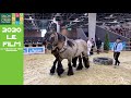 Les Chevaux de Trait au Salon International de l'Agriculture de Paris - Le Film