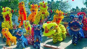 Múa Lân Hay Nhất 2025 , LSR Hằng Anh Đường biểu diễn Lân Sư Rồng tại Định Quán Đồng Nai