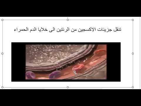 عملية الانتشار