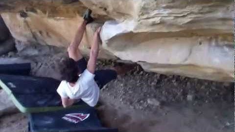 Mike Brown sends Hot Tuna, Stoney Point