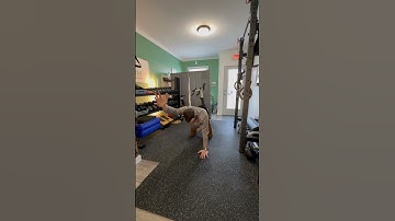 Quadruped alternating shoulder flexion