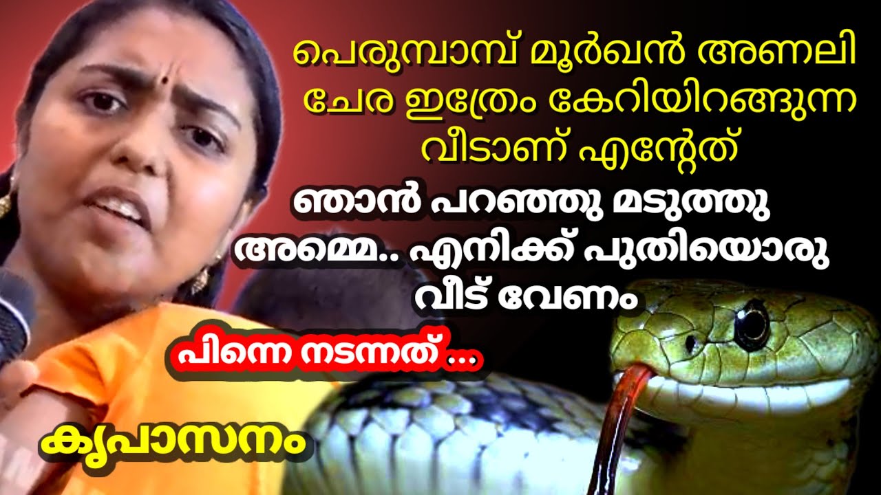 പെരുമ്പാമ്പ് മൂർഖൻ അണലി ചേര ഇത്രേം കേറിയിറങ്ങുന്ന വീടാണ് എന്റേത് ഞാൻ പറഞ്ഞു മടുത്തു അമ്മെ.. എനിക്ക്