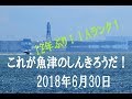 Aランク、魚津の蜃気楼 2018 06 30_10倍速  Superior Mirage
