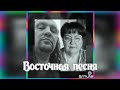 Восточная песня (Ободзинский) Наталья Потаева дуэт Smule