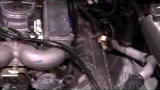 DeLorean Motor Co. Tour