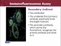 BT601 Virology Lecture No 114