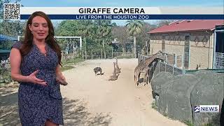 01 05 2026 Brittany Begley