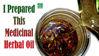 I Prepared This Medicinal Herbal Oil for Pain And Inflammation Relief