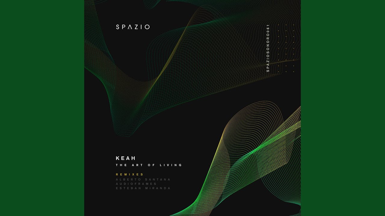 The Art of Living (Audioframes Remix)