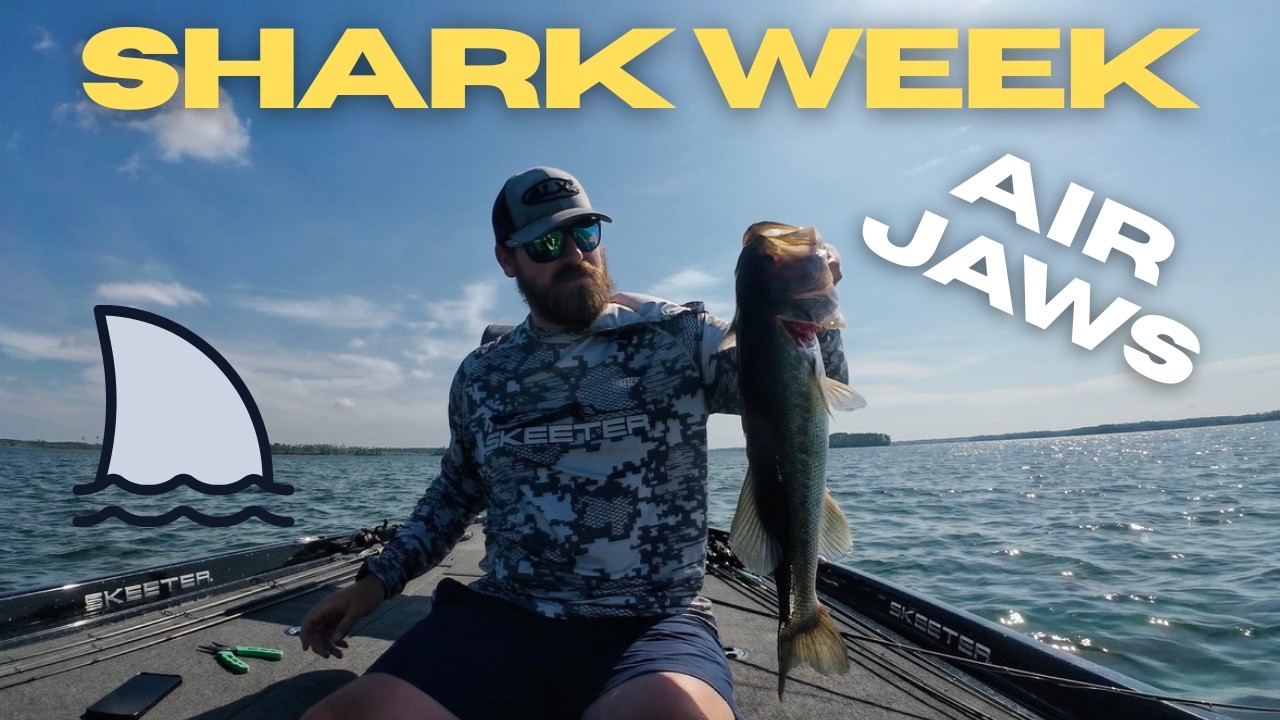 SHARK WEEK on Clarks Hill