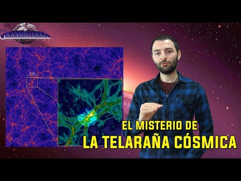 Video: ¿Qué conecta todo en el universo?