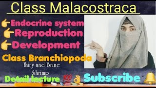 || Class Malacostraca || Endocrine system/reproduction/development/ Class Branchiopoda