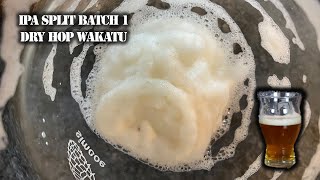 Split IPA Batch 5 Dry Hop Wakatu All Grain Tasting 2
