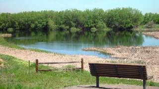 Bluff Lake Nature Center 2014-2015 Lake Campaign Video