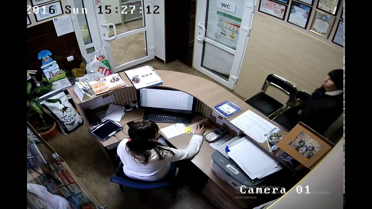 Регистратура: клиника Ветпомощь Сумы - YouTube