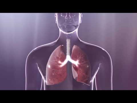 Vidéo: Fibrose Kystique: Espérance De Vie, Facteurs De Risque Et Plus