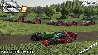 Sugar beet harvest w/ small equipment | Oberkrebach | Multiplayer Farming Simulator 19 | Episode 55