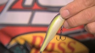 Science Behind Bass Fishing