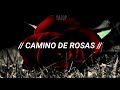 Camino de rosas- Alejandro Sanz (Letra)