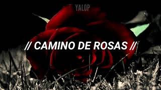 Video thumbnail of "Camino de rosas- Alejandro Sanz (Letra)"