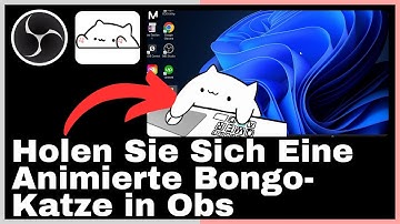 Wie Erhält Man Einen Animierten Interaktiven Bongo Cat in Obs Studio