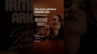 Gece Gibi Gönlün -Irmak Arici Resimi