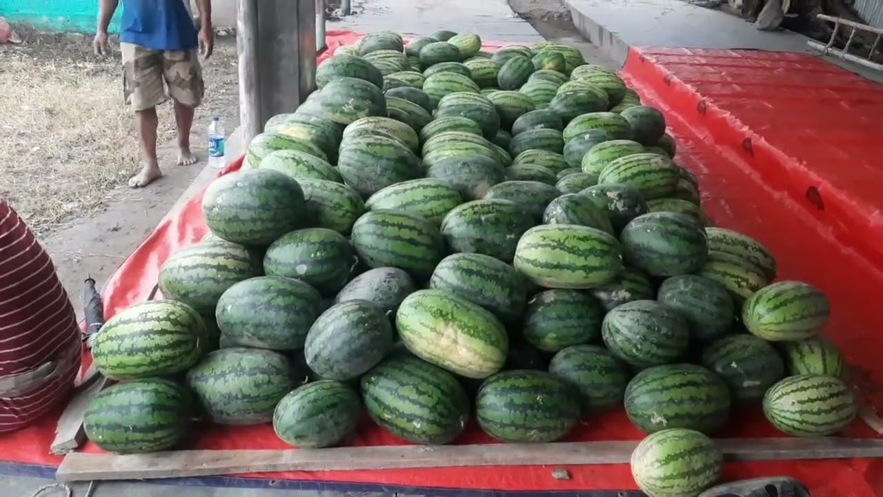 Water melon festival da lakpiyu