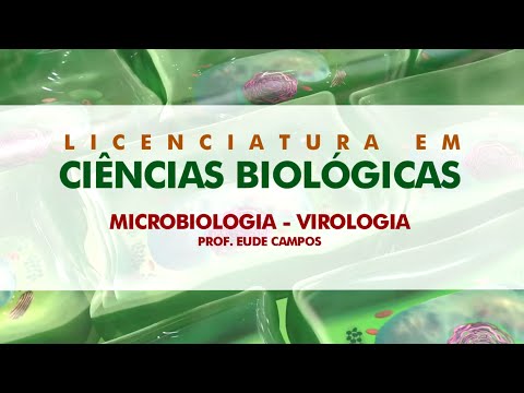 Vídeo: Impressão 3D De Malhas Cirúrgicas De Hérnia Impregnadas Com Agentes De Contraste: Prova De Conceito In Vitro Com Características De Imagem Em Tomografia Computadorizada