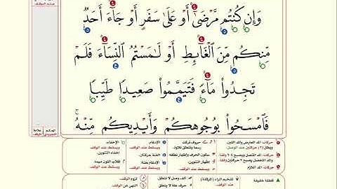 سورة المائدة مع عرض الآية وأحكام التجويد بصوت الشيخ محمد صديق المنشاوي