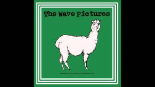 The Wave Pictures ‎- Puncture My Pride