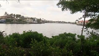 Community members protest new storm surge protection in Collier County