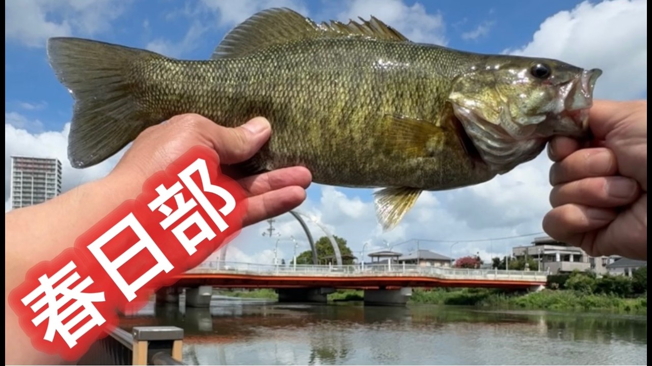 駅前でバスフィッシング！！！ 【古利根川】