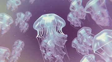 Elfgrin - The Code Of Love