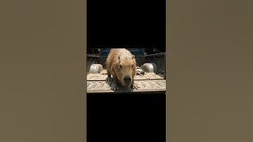 capybara | LIKE SNACKS@ | ẩm thực trên cây chuối