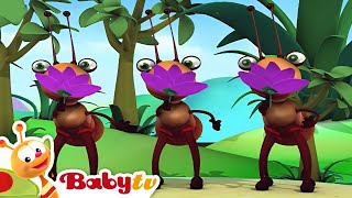 Estilo asiático com a Big Bugs Band 🐜 🐞| Música para bebês 🎵 | Canções e rimas infantis @BabyTVPT