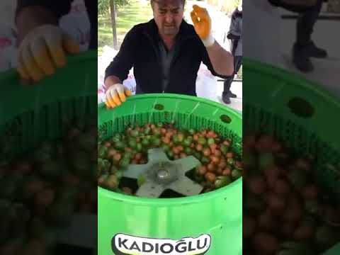 Kadıoğlu 280ED Walnut Huller (Green Skin Cleaner) Machine