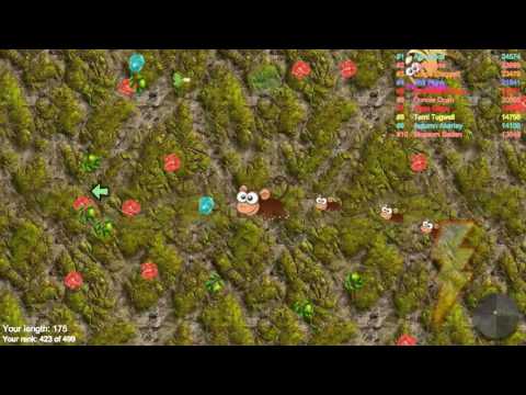 Angry And Hungry Animal Games Survival War