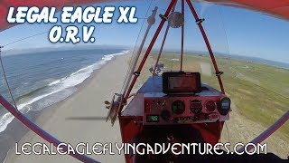 Legal Eagle XL, ORV, Les Homan's Legal Eagle XL ORV with Verner radial engine