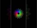 Python Turtle Graphics Art: How to Draw a Colorful Flower 🌈✨ #Shorts #PythonArt#shortvideo #short