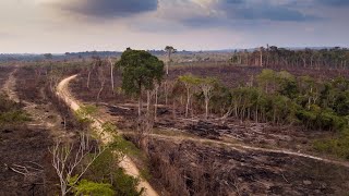 Quick Visualization of Amazon Deforestation