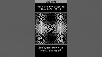 Maze Puzzle Challenge: Can You Solve All 3 Brain Games? 🧩🔥