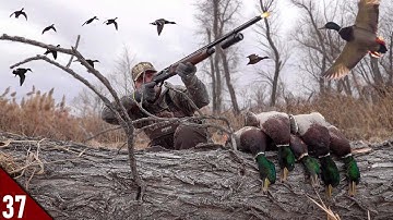 COVERED UP in MALLARDS! (Limited Out) | EPIC Solo Duck Hunt in Cattails