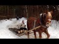 Hoizruckn in Schönau am Königssee  3 Januar 2015