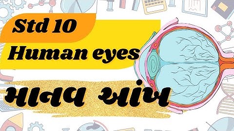 std 10 science chapter 11/ human eyes/ Manas ankh ni rachna / માનવ આંખ