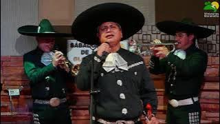 El Alfarero │ Mariachi Eli │ EN VIVO