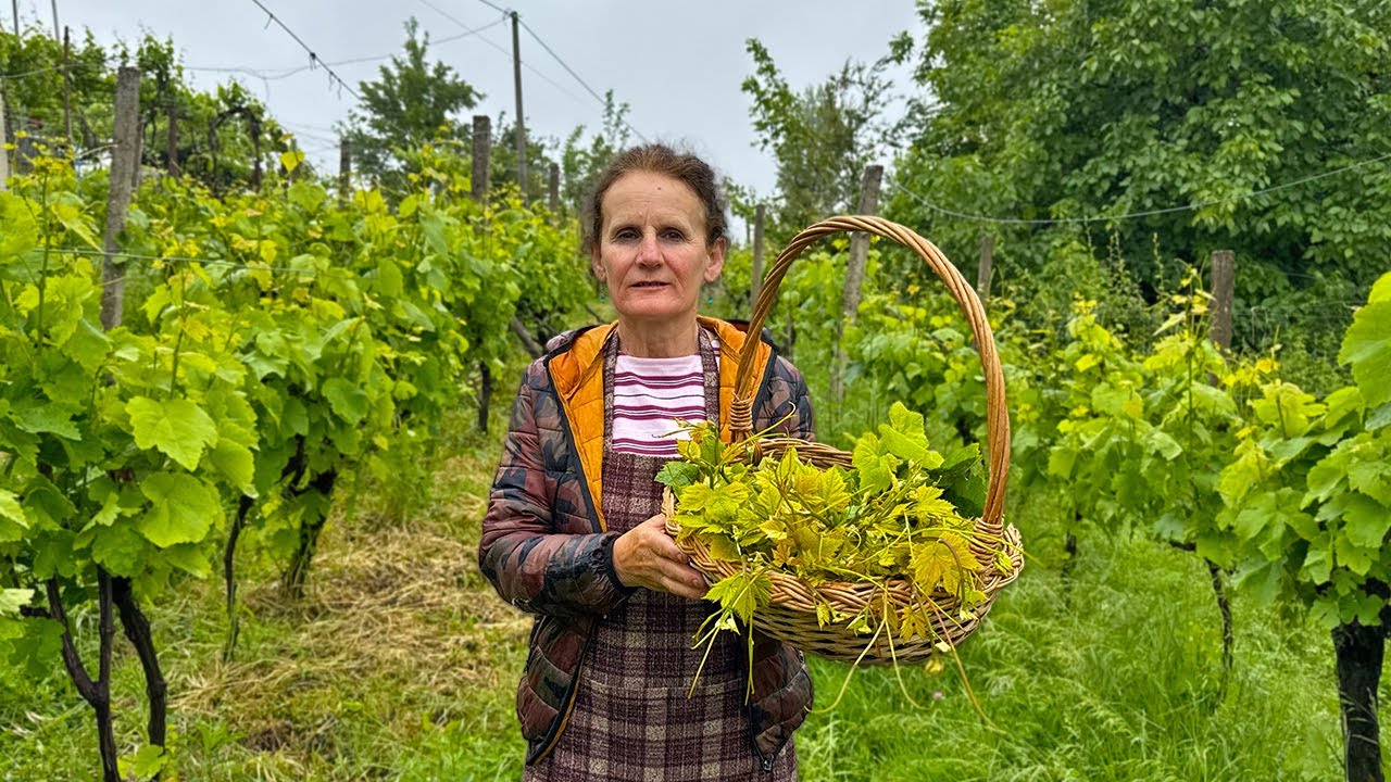 Stuffed Vine Leaves Like Grandma Made – with Dock & Tradition! 💚👵